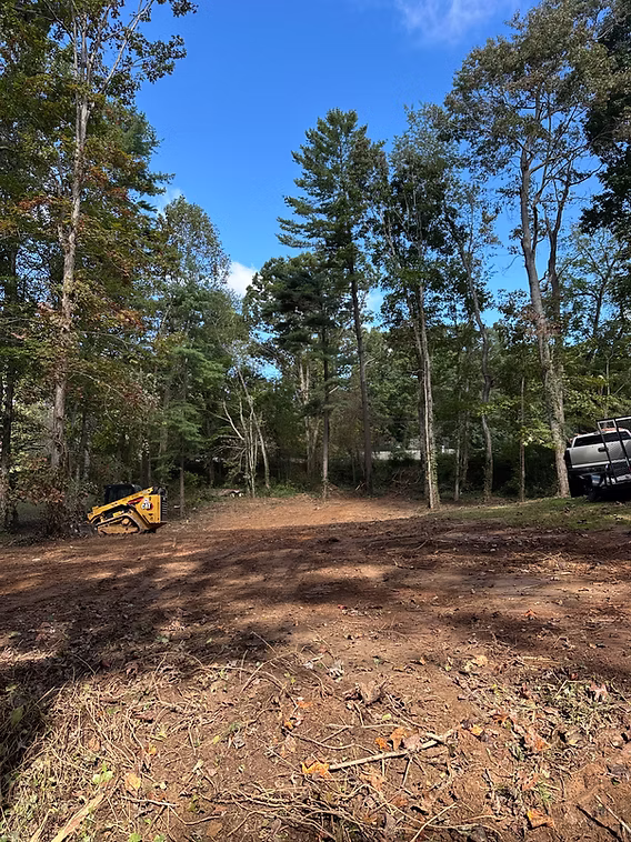 Land Clearing